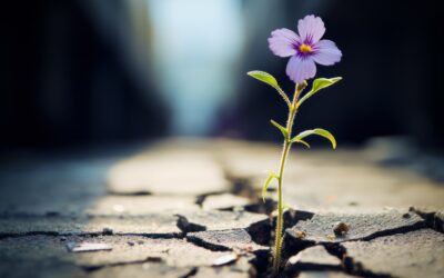 Resilience Isn’t What You Think It Is